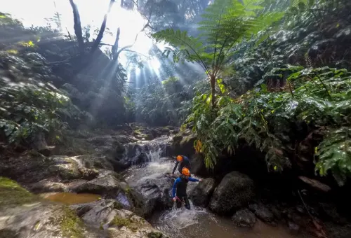 Exploring the Natural Wonders of São Miguel: Canyoning and Coasteering Adventures in the Azores