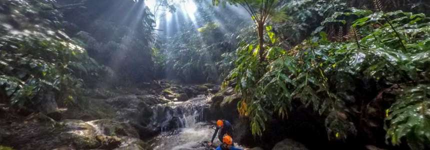 Explorando as Maravilhas Naturais de São Miguel
