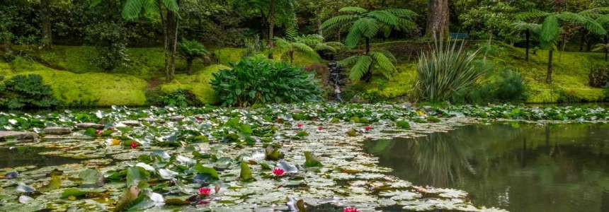 Exploring the Natural Wonders of São Miguel